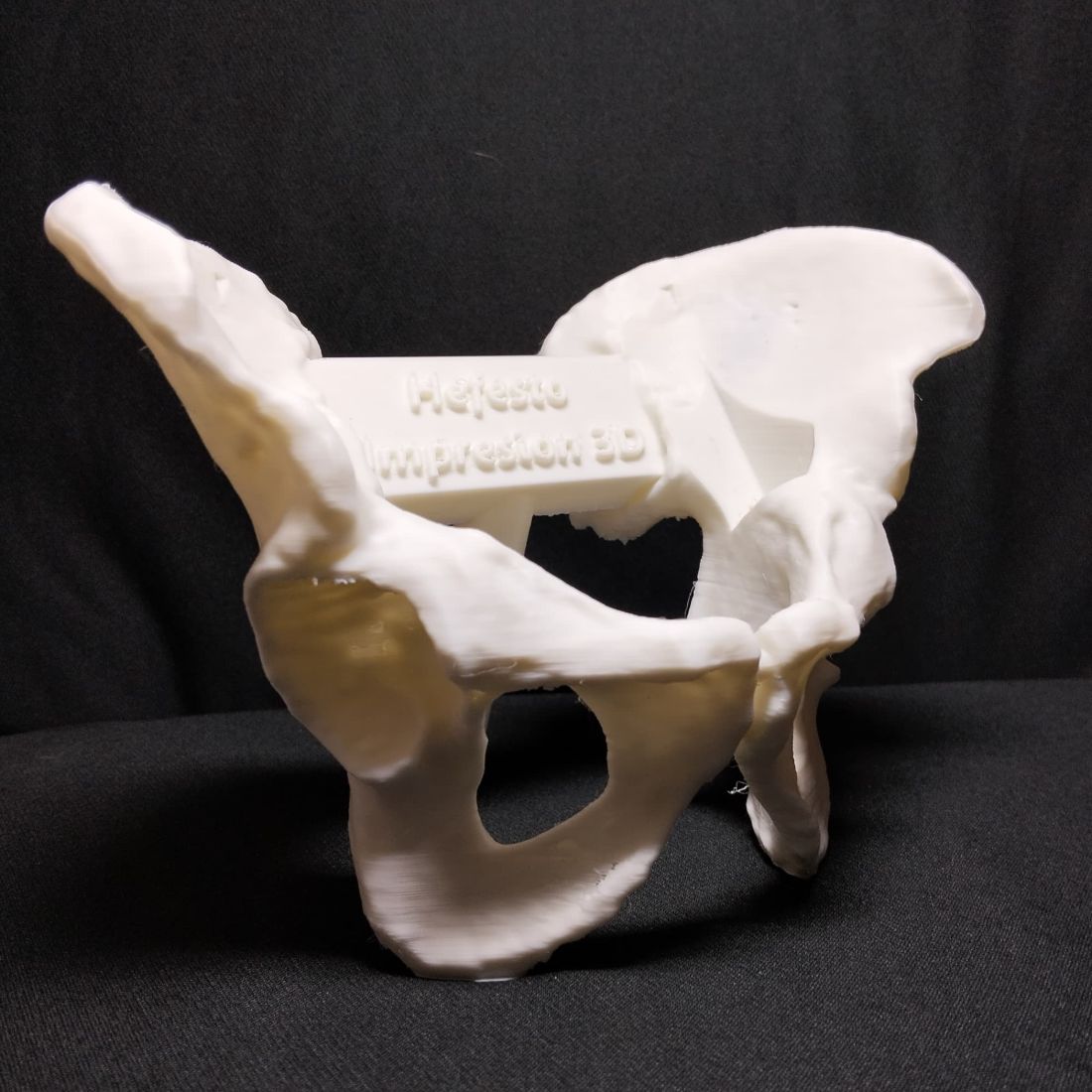 Médico con modelo anatómico 3D — Hefestech